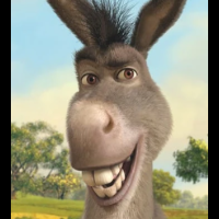 burro