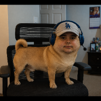 doggie