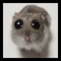 mavuika