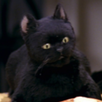 Salem