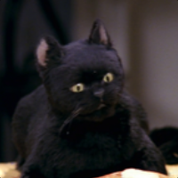 Salem
