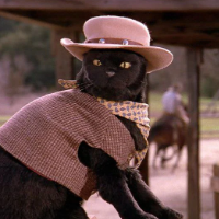 Salem