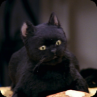 salem
