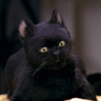 Salem